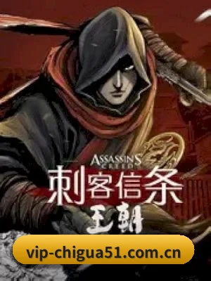 🎬 我们的内容方向 - 长期内容价值积累